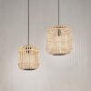 bordesley suspension bois osier